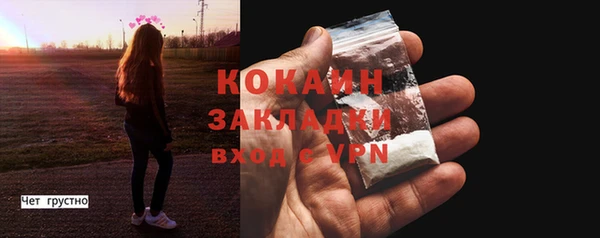 соль ск Лиски