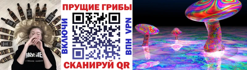 Галлюциногенные грибы Magic Shrooms  Тихвин 