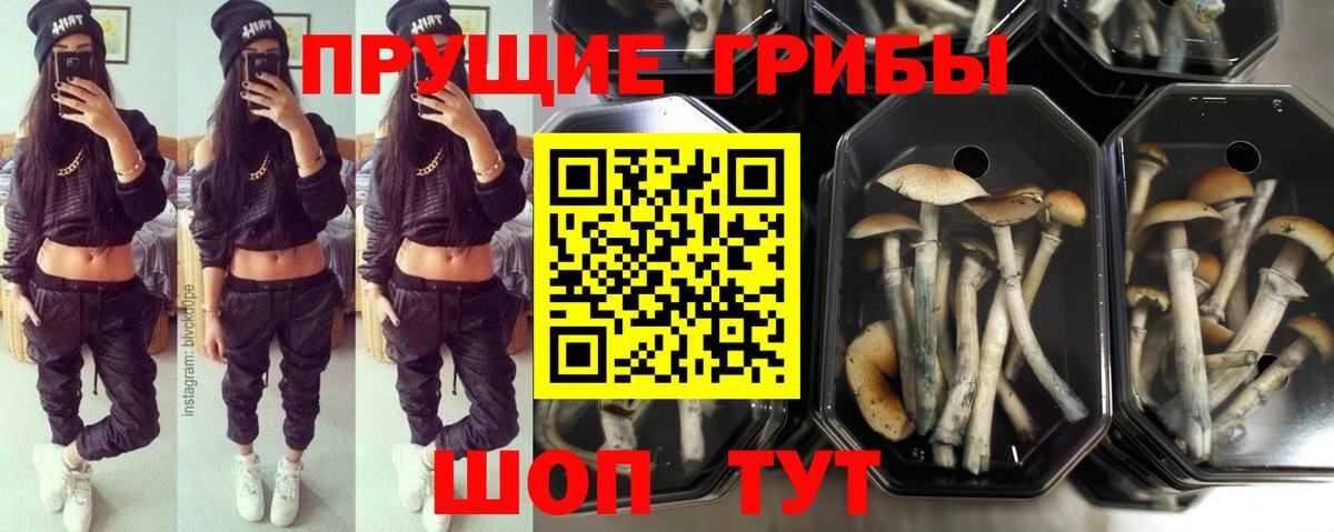 Псилоцибиновые грибы Magic Shrooms  Галлюциногенные грибы мицелий  Тихвин  Вход с VPN 