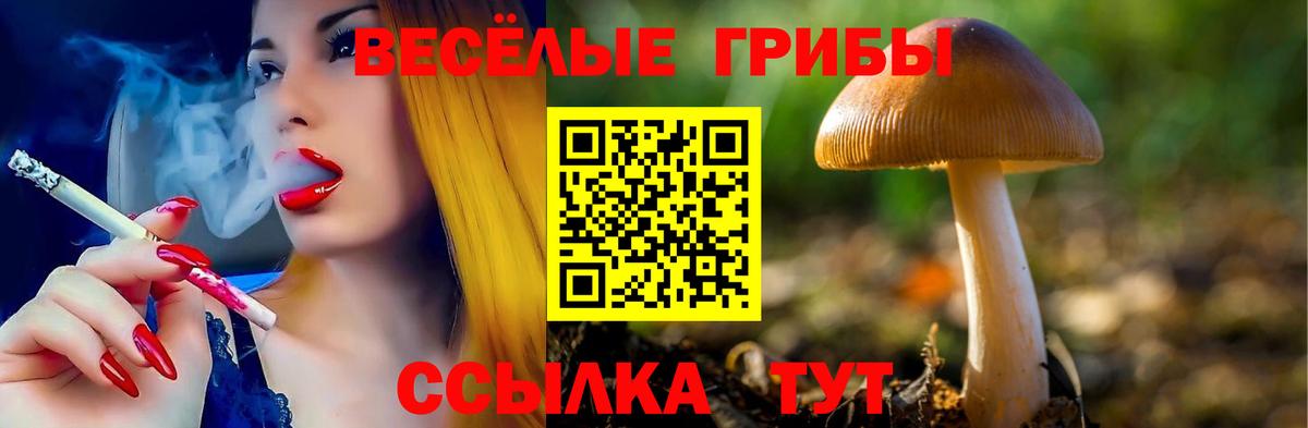 Галлюциногенные грибы ЛСД Тихвин
